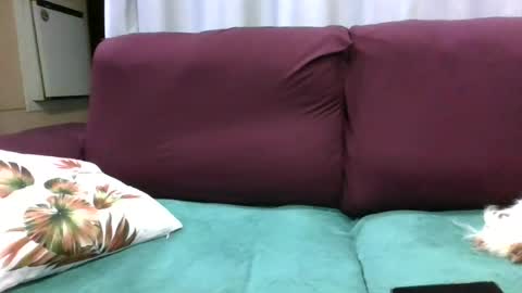 kelly online show from 07/28/26, 08:52