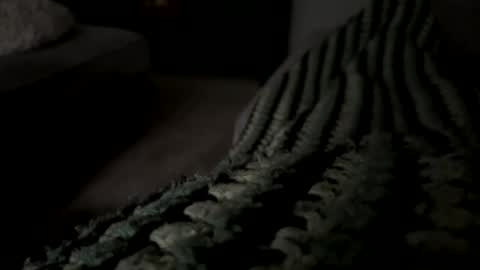 lc6173 online show from 12/15/25, 08:13