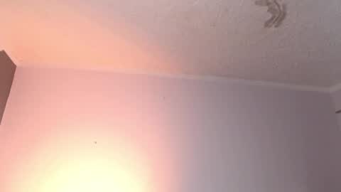 leabigboobs online show from 02/03/25, 03:49