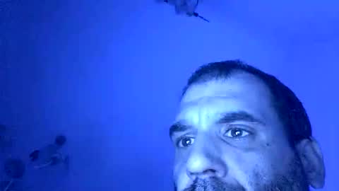 lechebizvm online show from 11/04/25, 11:37