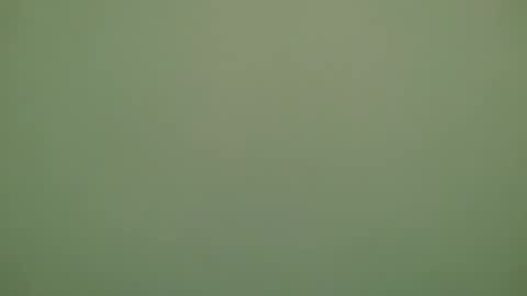 Snapshot of lechiffre1205 chatting on 11/28/25, 06:32 Michel online show from 11/28/25, 06:32