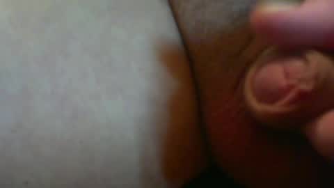 782194 online show from 07/29/26, 12:09