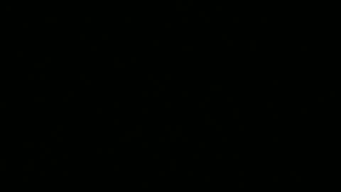 Ebony DeafGuy online show from 06/13/26, 08:12