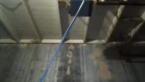 leo199984 online show from 11/09/25, 05:17