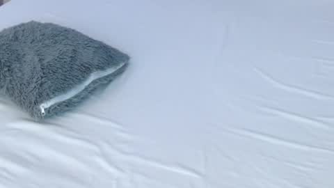 Snapshot of leonacutecam chatting on 11/28/25, 08:55 LUCY online show from 11/28/25, 08:55