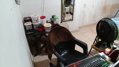 Snapshot of leonino231 chatting on 12/15/25, 04:06 leonino231 online show from 12/15/25, 04:06