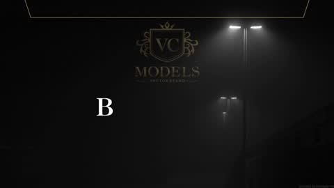 Snapshot of leosalvatore_ chatting on 02/01/25, 07:57 Leo Salvatore online show from 02/01/25, 07:57