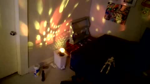 lewd palindrome online show from 03/08/25, 04:34
