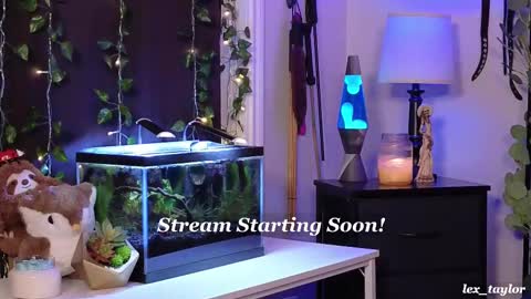 Lex online show from 02/18/25, 04:37