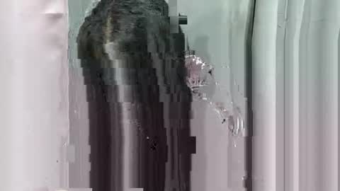 lhara_morena online show from 12/18/25, 12:11