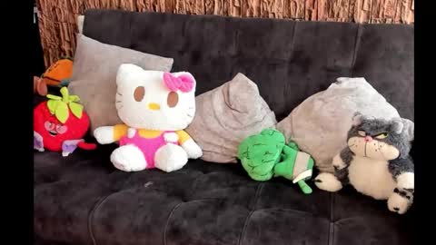 Snapshot of lia_rip01 chatting on 10/17/25, 02:52 lia_rip01 online show from 10/17/25, 02:52