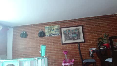 Snapshot of liarouse04 chatting on 05/17/26, 04:03 Liarouse04 online show from 05/17/26, 04:03