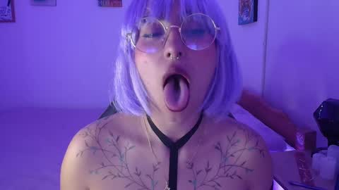 im MIA  -- MY OF is catsito3 online show from 02/11/25, 05:05