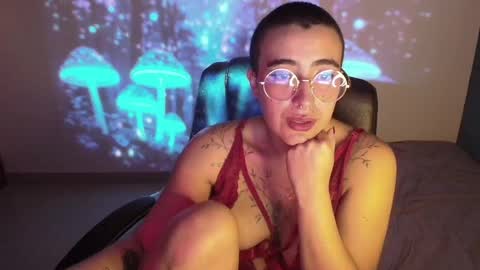 im MIA  -- MY OF is catsito3 online show from 02/22/25, 09:34