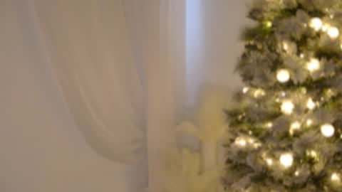 Snapshot of lilbeccaxo chatting on 12/17/25, 06:03 Rebecca online show from 12/17/25, 06:03