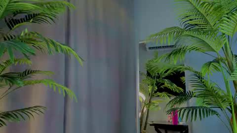 Snapshot of lililok101 chatting on 11/19/25, 02:22 lililok101 online show from 11/19/25, 02:22