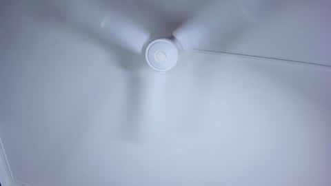 Lili  Marcus online show from 12/11/24, 01:58