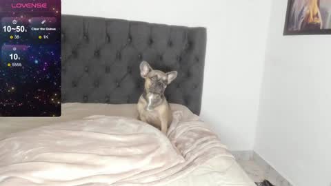 Snapshot of lilith_parker chatting on 02/09/25, 04:14 Lilith Parker online show from 02/09/25, 04:14