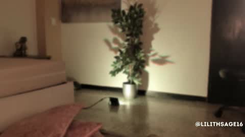 Snapshot of lilith_sage_ chatting on 11/13/25, 11:53 lilith_sage_ online show from 11/13/25, 11:53