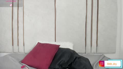 Snapshot of lilithdry chatting on 04/28/26, 02:27 Lilith online show from 04/28/26, 02:27