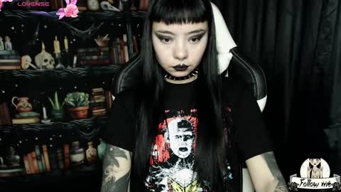   online show from 12/20/24, 12:08