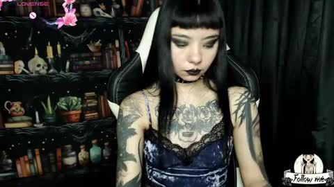   online show from 12/20/24, 03:14