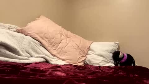 Kitty online show from 09/12/25, 03:56