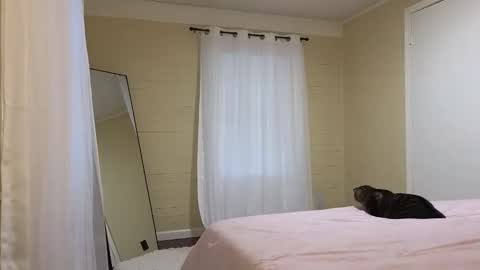 lilly_adams88 online show from 05/21/26, 10:28