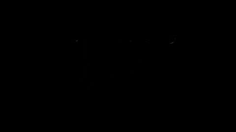 lilpresident online show from 02/12/25, 08:18