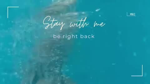 Lily online show from 09/29/25, 11:48