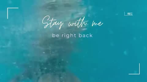 Lily online show from 11/01/25, 06:15