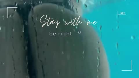 Snapshot of lily_foster_ chatting on 11/09/25, 06:33 Lily online show from 11/09/25, 06:33