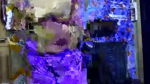 limaakter246618 online show from 10/21/25, 04:41