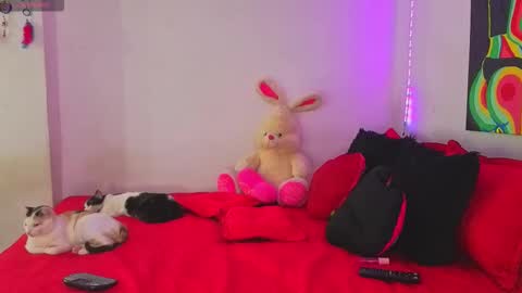 linda_rose28 online show from 09/16/25, 02:07