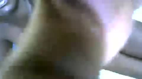 lioness online show from 06/27/26, 09:14