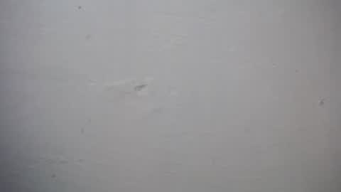 Snapshot of lisa_branch chatting on 11/27/25, 07:27 lisa_branch online show from 11/27/25, 07:27