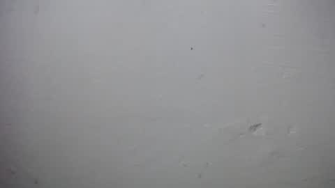 Snapshot of lisa_branch chatting on 11/28/25, 10:07 lisa_branch online show from 11/28/25, 10:07