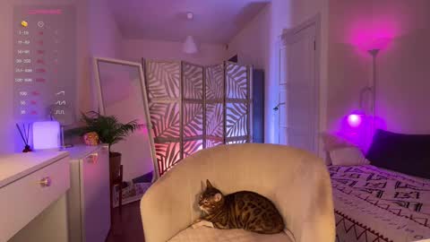 Lisa  online show from 11/20/25, 04:40