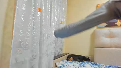 Lisasimsxs online show from 08/01/26, 03:50