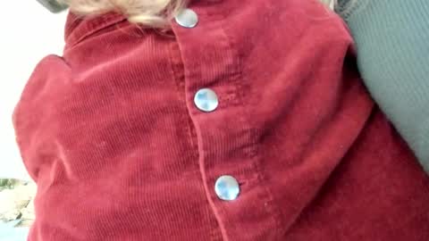 Snapshot of lissacain chatting on 10/30/25, 05:24 Lissa online show from 10/30/25, 05:24