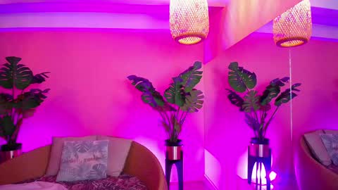 Paulette online show from 11/15/25, 01:18