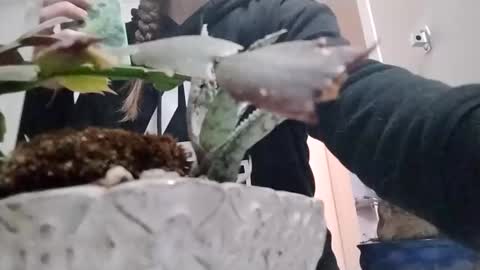 littleleo96 online show from 10/05/25, 11:08