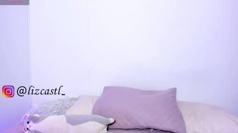 Snapshot of lizcastl chatting on 11/28/25, 10:34 lizcastl online show from 11/28/25, 10:34