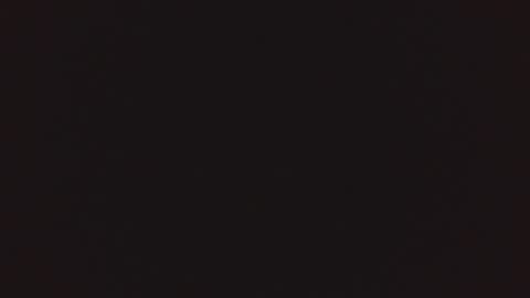 Snapshot of lnkn chatting on 03/04/25, 07:41 Lnkn online show from 03/04/25, 07:41