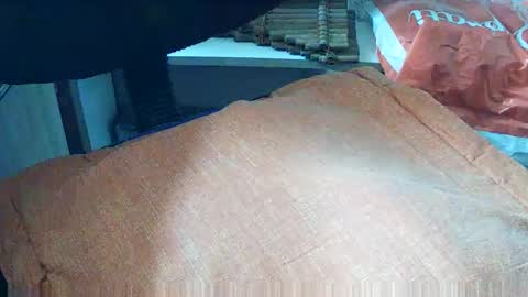 loboxavi online show from 09/19/25, 01:23