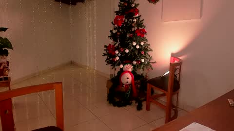 mara online show from 12/15/24, 11:31