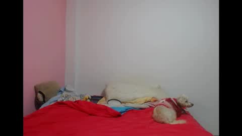 Lolita  online show from 05/19/26, 08:04