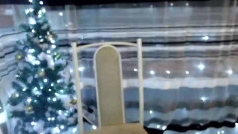 Lisa online show from 12/30/24, 08:47