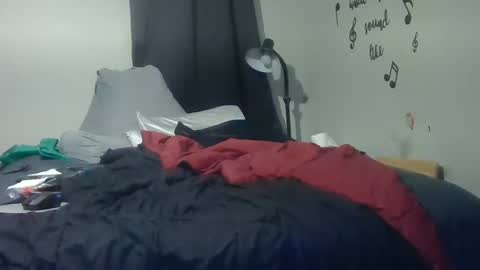 Snapshot of lonelydick2222 chatting on 10/31/25, 01:01 lonelydick2222 online show from 10/31/25, 01:01