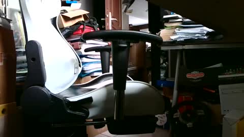 Pumabreizh online show from 02/14/25, 04:41